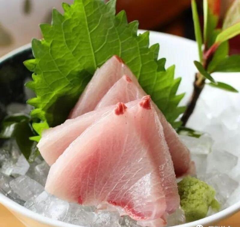 Yellowtail